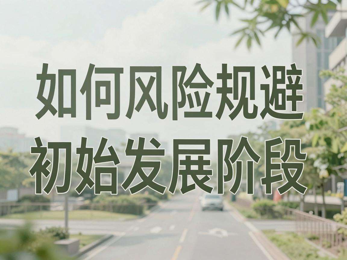 初创公司如何做好风险规避才能平稳走过初始发展阶段